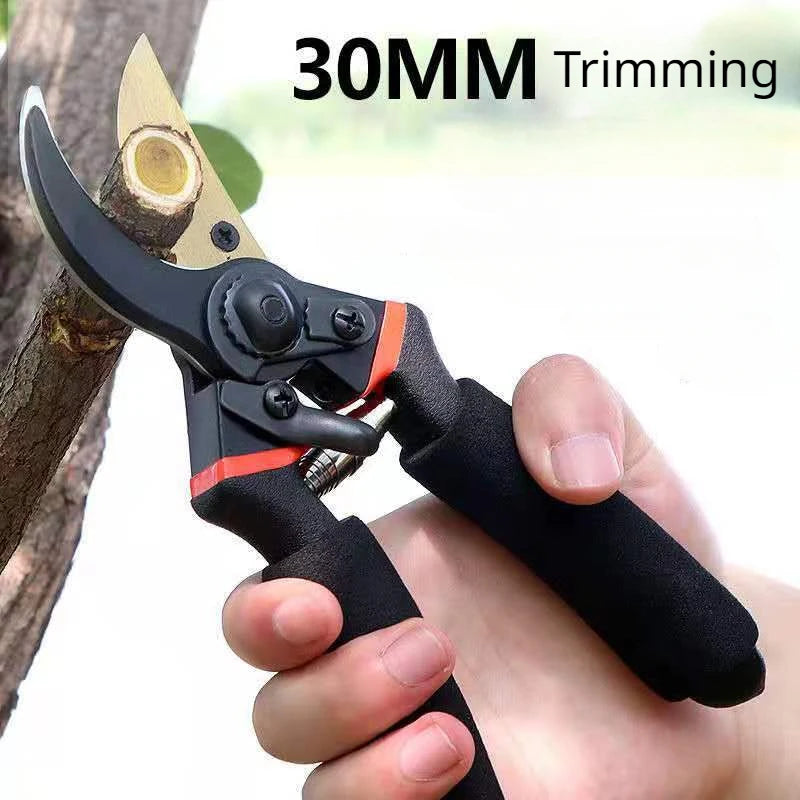 S1131f3c59ad64f3bb62a971183a82f2cv