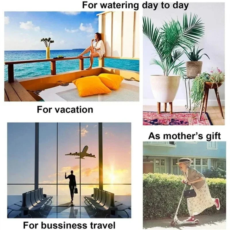 S24d0c5d4352c4df686f9aaa9749f5c64p