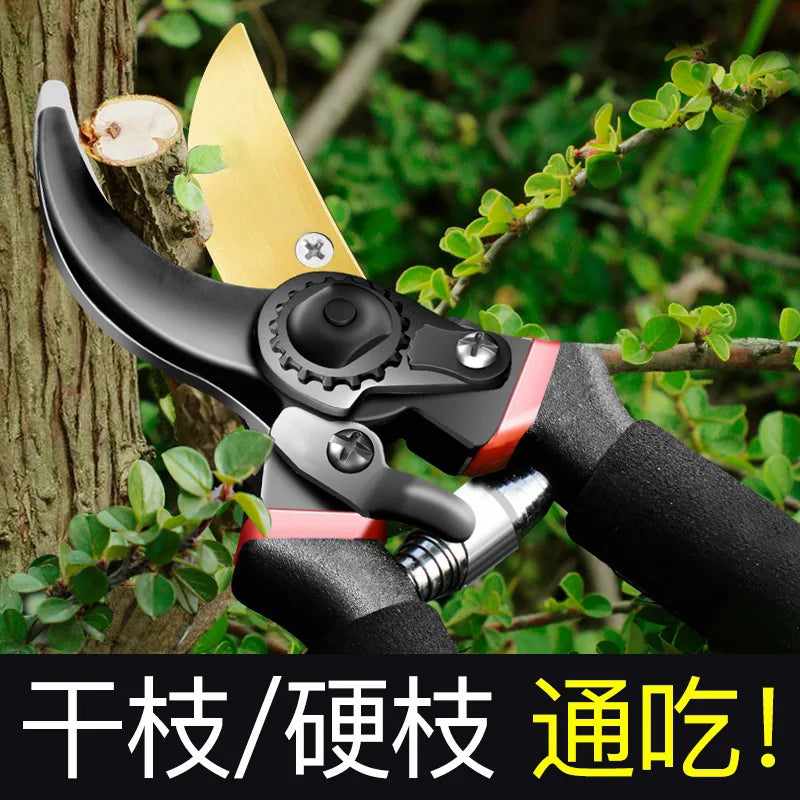 Scec8eb6eef824ff98425cd753837e4e8x
