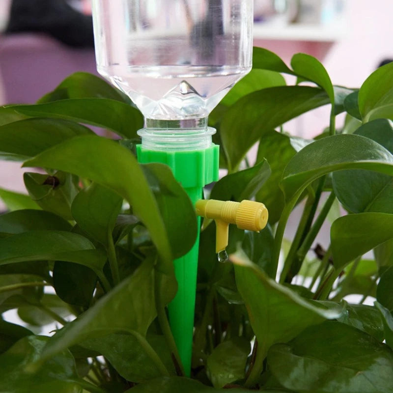 Sea811c7498a0478cbcc6718a62037297f